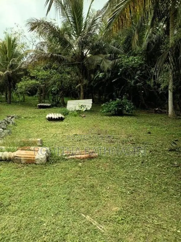 Land for Sale Anuradhapura