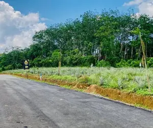 Land for Sale ඇහැලියගොඩ