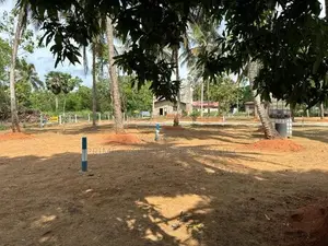 අනුරාධපුර සාලියමාවතෙන් සින්නක්කර බිම්කොටස් විකිණීමට