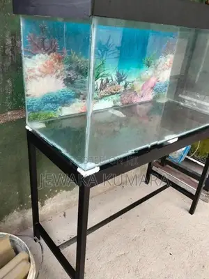Fish Tank
