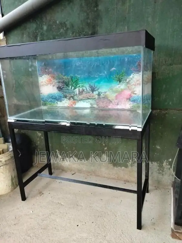 Fish Tank