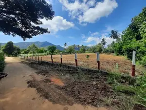දඹුල්ල නගර සීමාවෙන් සින්නක්කර බිම්කොටස් විකිණීමට