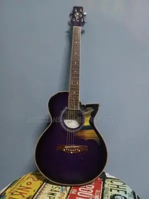 Melody Acoustic Guitar