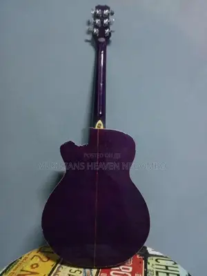 Melody Acoustic Guitar