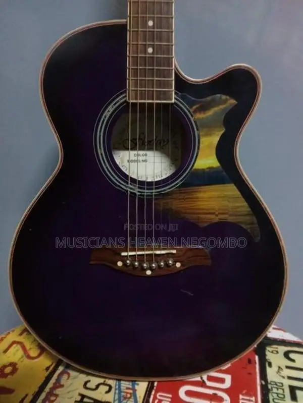 Melody Acoustic Guitar