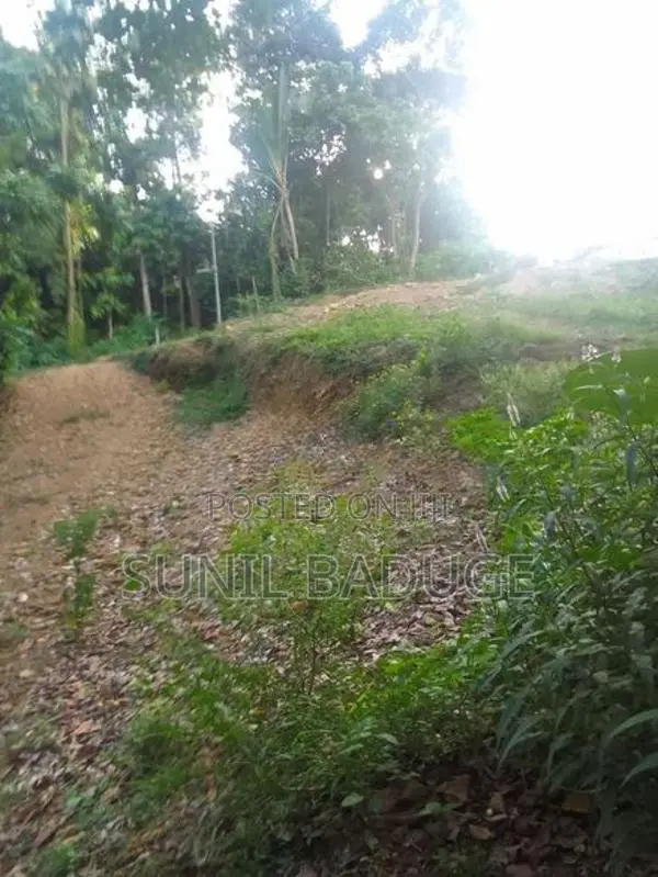 Land for Sale in Galle, Kaduruduwa