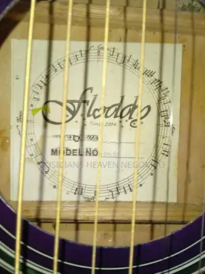 Melody Acoustic Guitar