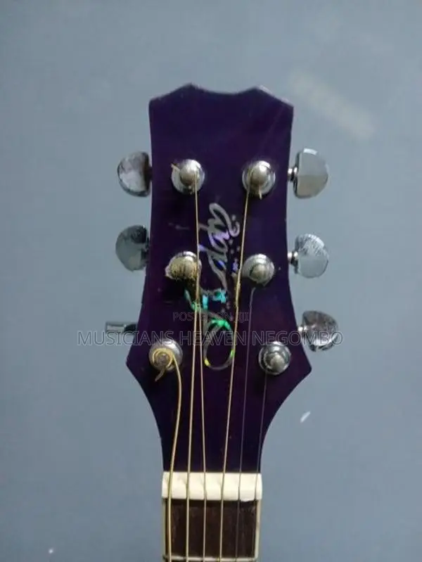 Melody Acoustic Guitar