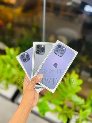 Apple iPhone 14 Pro Max 256GB (Used)