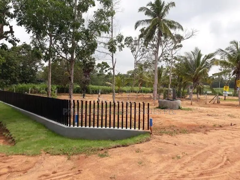 අනුරාධපුර - පුත්තලම් පාරට මුහුණලා සින්නක්කර බිම්කොටස් විකිණීමට