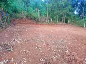 Land for Sale in Digana - Kandy