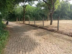 Land for Sale in Hungama