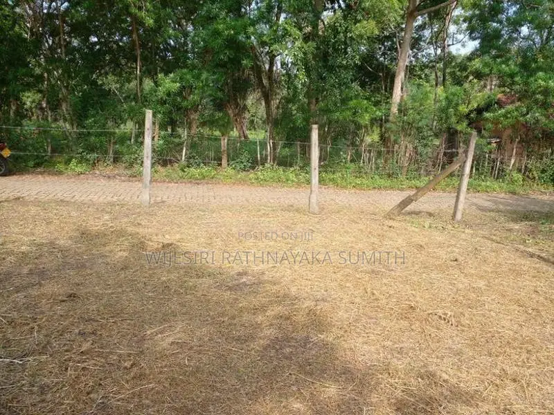 Land for Sale in Hungama