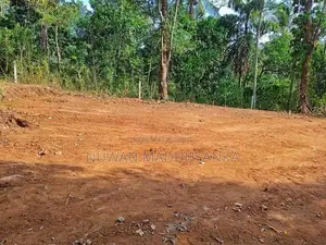 Land for Sale in Digana - Kandy