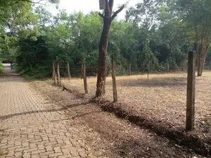 Land for Sale in Hungama
