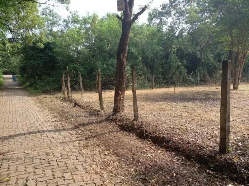Land for Sale in Hungama