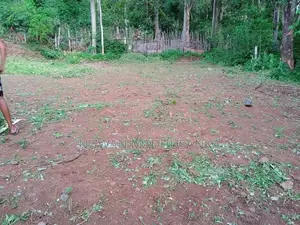 Land for Sale in Digana - Kandy