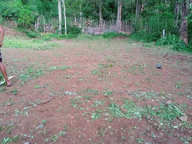 Land for Sale in Digana - Kandy