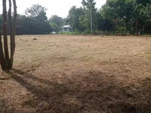 Land for Sale in Hungama