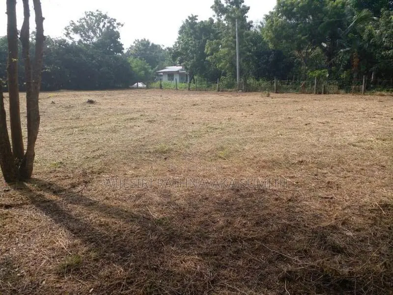 Land for Sale in Hungama