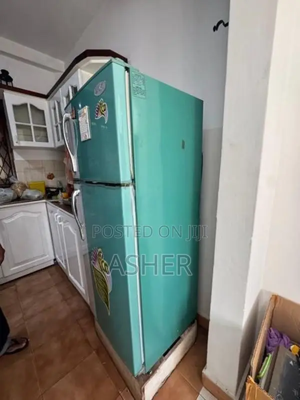 Sisil Double Door Refrigerator