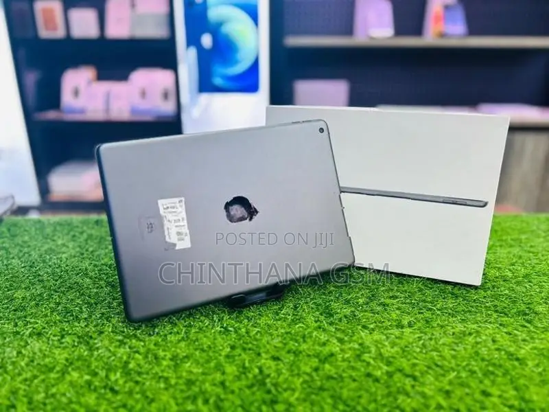 Apple ipad Air 9th Gen