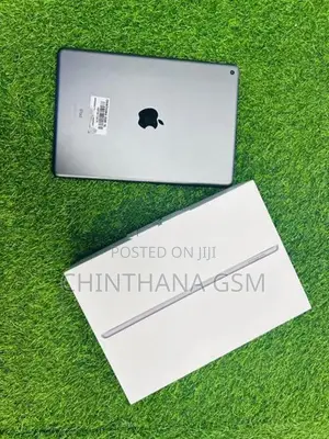 Apple ipad Air 9th Gen