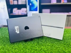Apple ipad Air 9th Gen