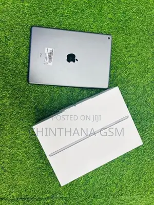 Apple ipad Air 9th Gen