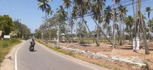පැල්ලැන්දෙනිය හන්දියෙන් ඉඩමක්