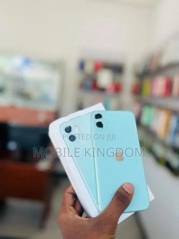 Apple iPhone 11 256GB Fullset Box (Used)