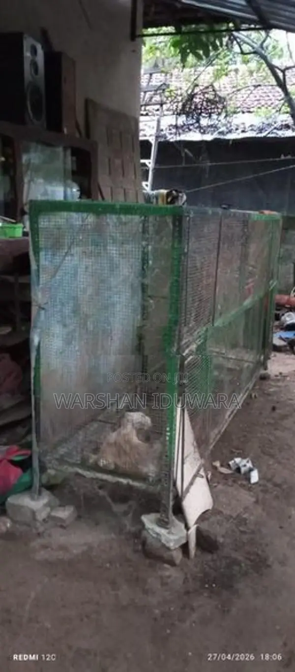 බලු කුඩු