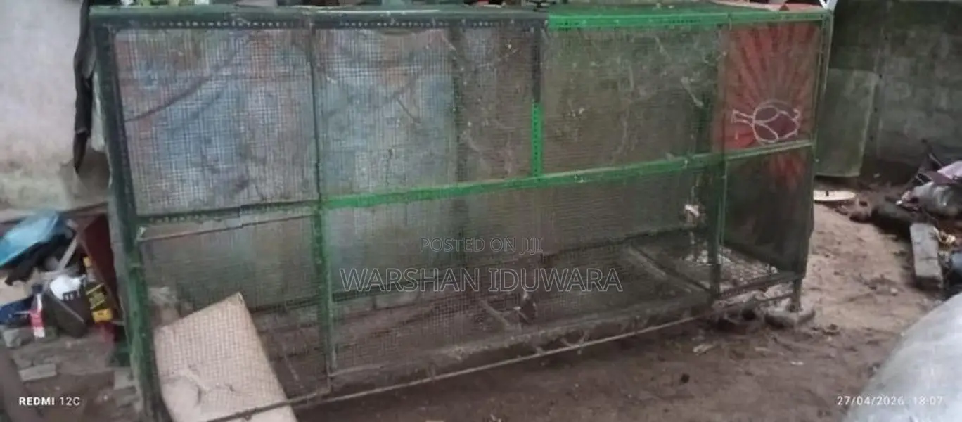 බලු කුඩු