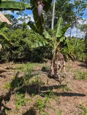22 Perch Land for Sale in Bentota-Haburugala