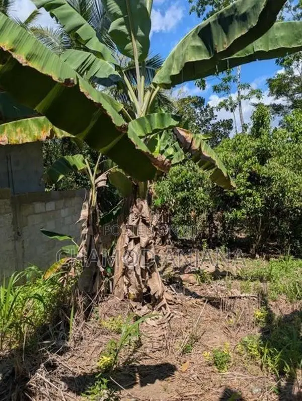 22 Perch Land for Sale in Bentota-Haburugala