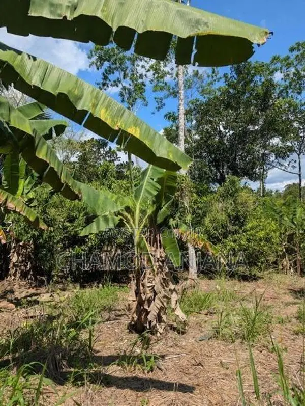 22 Perch Land for Sale in Bentota-Haburugala