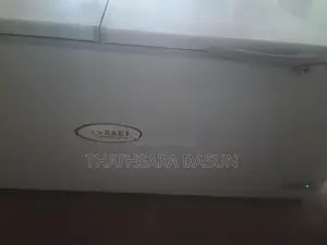 Singer 750L Freezer