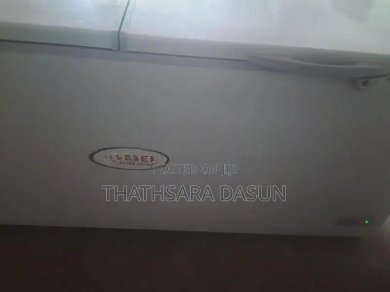 Singer 750L Freezer