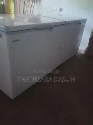 Singer 750L Freezer