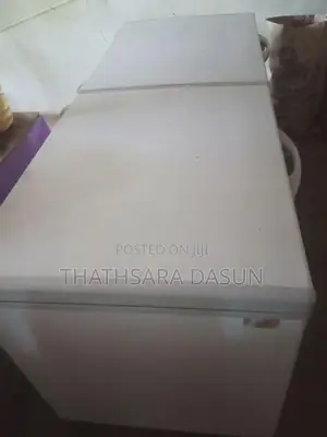 Singer 750L Freezer
