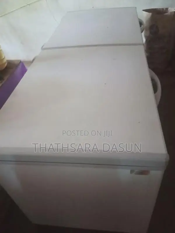 Singer 750L Freezer