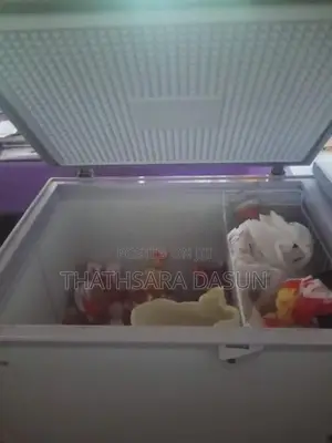 Singer 750L Freezer