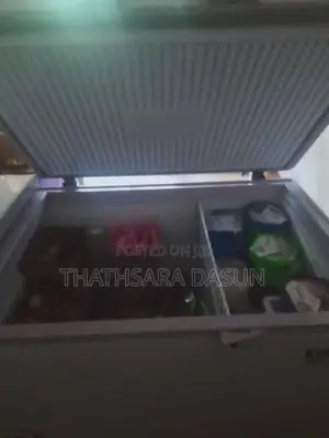 Singer 750L Freezer