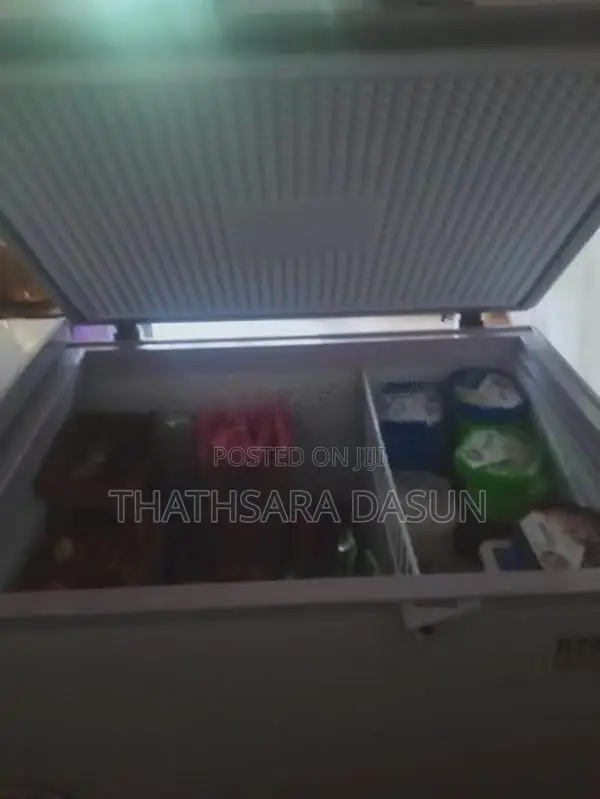 Singer 750L Freezer