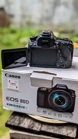 Canon 80D Camera