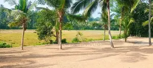 කඩවත වෑබඩ විකුණන ඉඩම