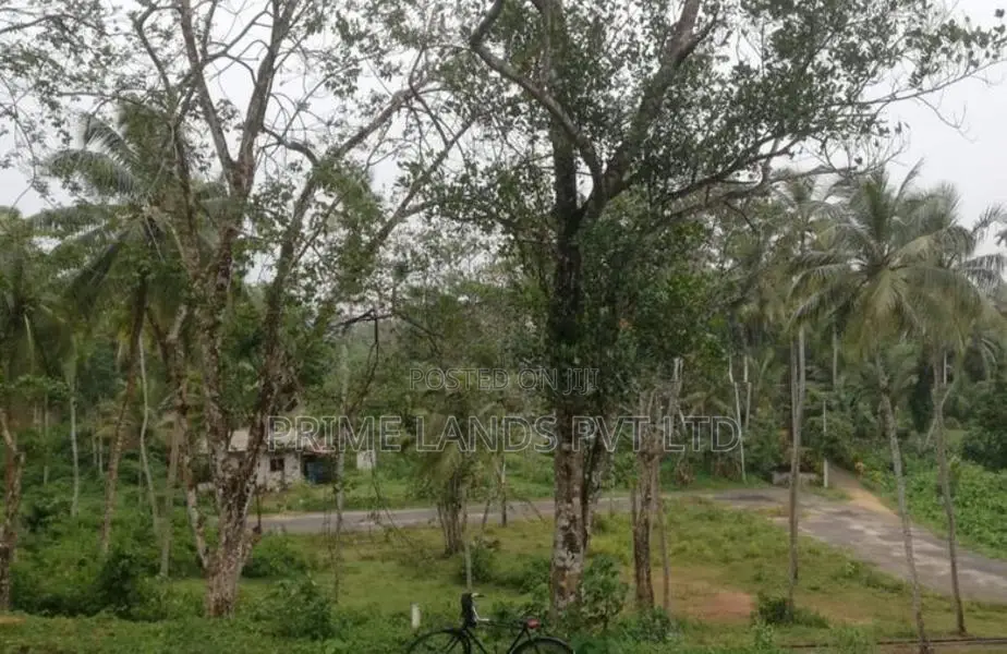 හබරාදුවෙන් බිම් කොටස්