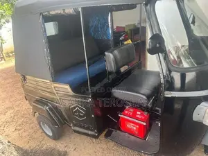 Piaggio Ape 2011