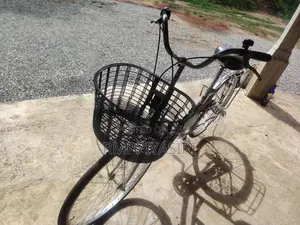 ජපන් පාපැදිය