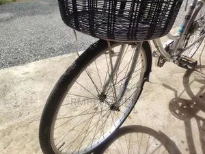 ජපන් පාපැදිය